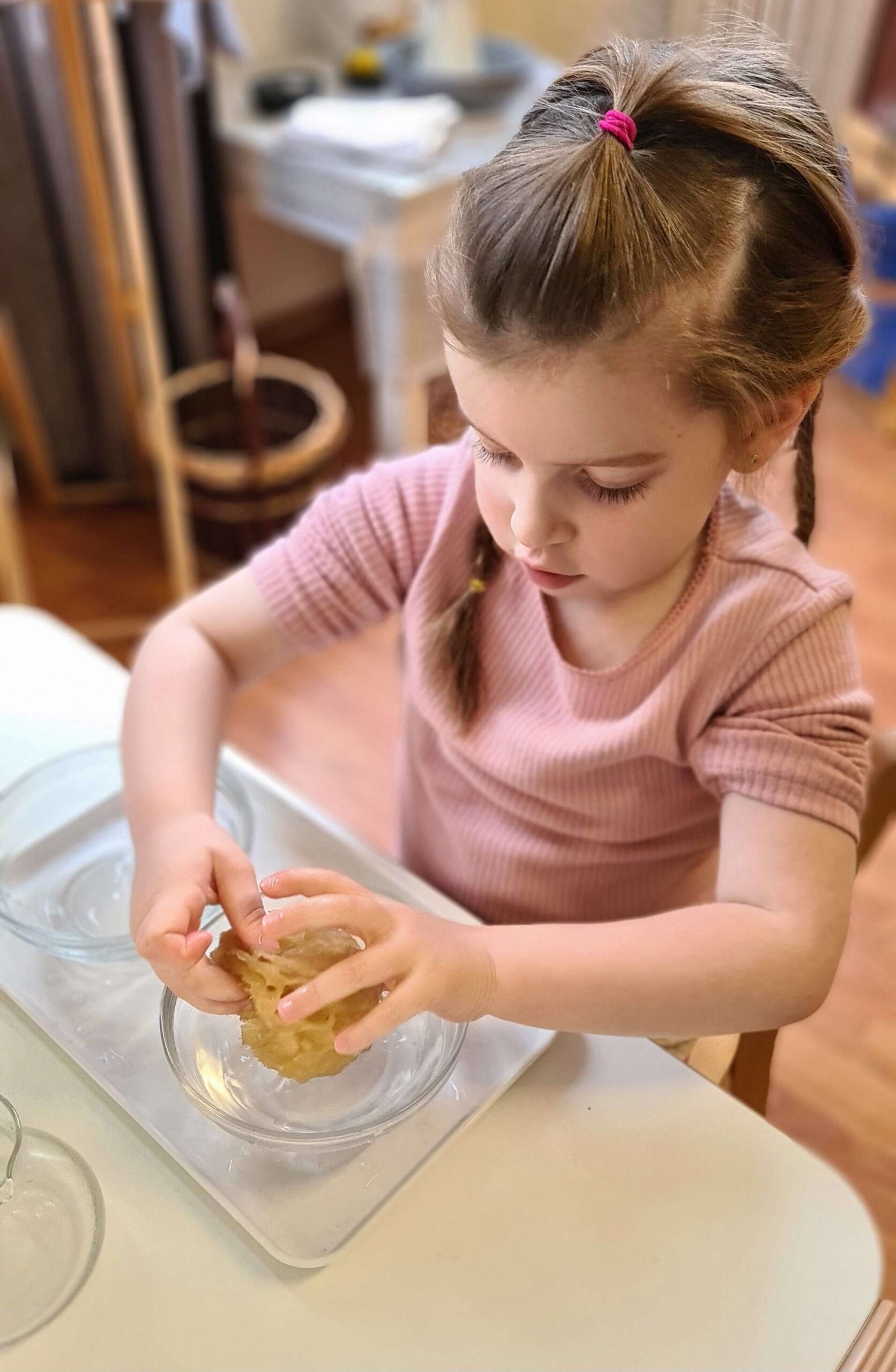 Young girl with blonde hair tied in a ponytail wearing a pink shirt squeezes a sponge in a bowl of water during a Montessori practical life activity.